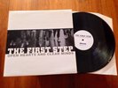 FIRST STEP Open Hearts Clear Minds LP/Euro/350 sXe HC punk champion have heart