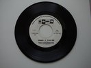 60s MN Garage Punk 45 THE Underbeats : Shake it for me / Can't Stand It : Some