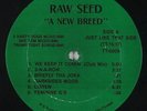 Raw Seed - A New Breed EP - Trump Tight - Indie Rap VG++
