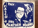 Tav Falco's Panther Burns: She's The One To Blame 1980 Alex Chilton, Frenzi MINT