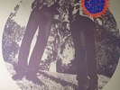 SEGALL, Ty/WHITE FENCE - Hair - Vinyl (LP)