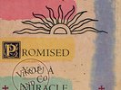 SIMPLE MINDS - Promised You A Miracle [Remix Version] 1982 Maxi-Single US 12