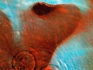 PINK FLOYD Meddle LP Vinyl Brand NEW