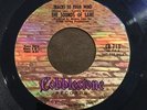 45 RPM COBBLESTONE DEMO The Sounds Of Lane / George Mc Cannon NOS R&B MP3