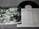 RAGE AGAINST THE MACHINE-RAGE AGAINST THE MACHINE. LP EPIC EUROPE 1992