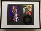 STEVEN TYLER AEROSMITH SIGNED FRAMED LOVE IN AN ELEVATOR VINYL PHOTO DISPLAY