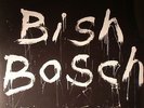 WALKER, Scott - Bish Bosch - Vinyl (180 gram vinyl 2xLP + CD + booklet)