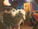 Fall out Boy Infinity On High Picture Disc Rare Pop Punk Blink New Found Glory