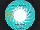 Mod DETROIT Soul ANDRE WILLIAMS You Got It And I Want IT RIC-TIC