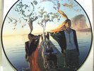 The Mars Volta - Televators / Eriatarka PICTURE DISC