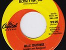 WILLIE HIGHTOWER Because I Love You RARE northern soul 45 stomper r&b LISTEN