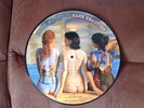 Pink Floyd Rare Beauties picture disc