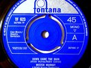 MISTER MURRAY VINYL 45 Obscure Pop RARE UK FONTANA 1965 7