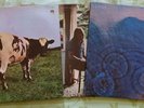 PINK FLOYD - UMMAGUMMA - MEDDLE - ATOM HEART MOTHER - VINYL LPs - OG HARVEST VG+