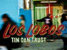 Los Lobos-Tin Can Trust (180 Gram Vinyl)  VINYL LP NEW
