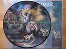 Stormwarrior / Northern Rage / Picture Disc / picture vinyl / Picture LP