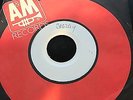 PRINCE - Crazay -  1986 A&M 02904 Funk PROMO Test Pressing 45