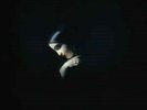 TRUE WIDOW - Circumambulation LP - Black Vinyl - NEW COPY - 180 Gram