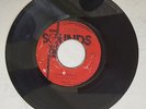 GAYLADS - FALSE RASTA // PORTLAND ALL STARS - PORTLAND DUB / [ TOTAL SOUND ]
