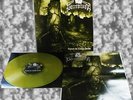 DECREPITAPH - beyond the cursed tombs LP