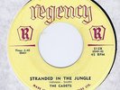 Cadets 45 Stranded In The Jungle 1956 R&B NM Billboard # 15 Canada Regency 512X