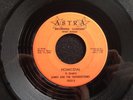 MI Rockin' Instro 45   Lenny & The Thundertones   Homicidal   Hear 