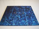 Gas- Nah und Fern (2LP) [Wolfgang Voigt, Kompakt, Mille Plateaux, Basic Channel]