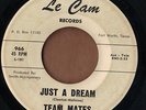 Le CAM  Texas teen doo wop 45  THE TEAM MATES - Just A Dream + Please Believe Me