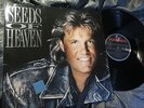 BLUE SYSTEM LP: SEEDS OF HEAVEN, DIETER BOHLEN MODERN TALKING DISCO POP NEARMINT
