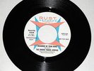 United Travel Service *1967 Pacific NW Garage Psych * Wind and Stone * Promo 45