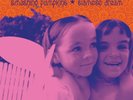 New Sealed Smashing Pumpkins Siamese Dream (180g Vinyl, Remastered)