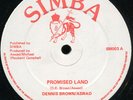 Dennis Brown & Aswad - Promised Land UK Simba 12