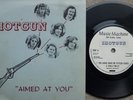  BRITISH ROCK SHOTGUN SKINBANGER etc. 1975 PRIVATE 45 NEVER SEEN EX/EX