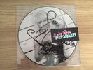 Lady Gaga Paparazzi Signed Picture Disc Vinyl