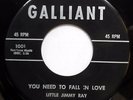 LITTLE JIMMY RAY 45 You Need To Fall In Love VG++ Northern POPCORN Doo Wop dm12