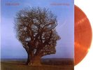 PINK FLOYD LP VINYL - BRAVE NEW WORLD - VINYL MARRON - BROWN VINYL