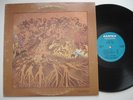 FEVER TREE For Sale AMPEX A-10113 Original Psych LP