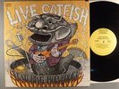 Catfish Hodge  Live Catfish    Blues Rock
