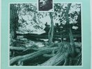 Fred McDowell - Levee Camp Blues 1980 Origin Jazz Library LP 8051 RARE OOP MINT