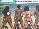 2 Live Crew Record As Nasty As They Wanna Be SEALED LP Skyywalker Records 1989
