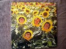 SUNNYBOYS-INDIVIDUALS 