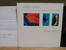DARREN KEARNS OPTIMAL BEING LP ATMOSPHERE EX ATM 100 AMBIENT SYNTH