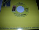 JOHN GARY WILLIAMS - THE WHOLE DAMN WORLD IS GOING CRAZY / ASK THE LONELY..