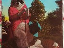 J.J. CALE Naturally RARE Original 1971 SHELTER SW 8908 FOLK PSYCH BLUES LP EX/NM
