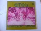 Vinyl Album GTO'S Girls Together Outrageously Permanent Damage STS1059    Zappa