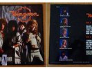 LP  VINILO 12
