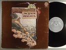 Jackson Heights  Ragamuffins Fool    Prog   UK Press Vertigo Swirl Label