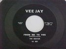 THE BEATLES 45 PLEASE PLEASE ME/FROM ME TO YOU VEE JAY -VJ 581 M- AUDIO MATRIX