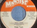 VG 45 vinyl -Peter Tosh Well Bred / Mudies All Stars -version - Moodisc Jamaica