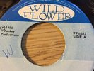 Original Ja Wild Flower 